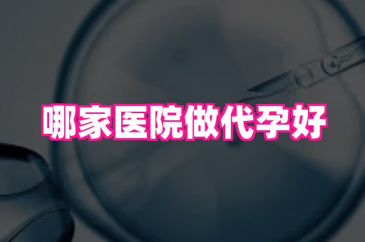 北京助孕网 1