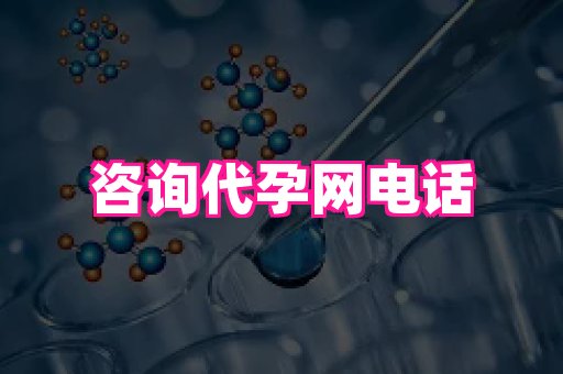北京助孕网 2