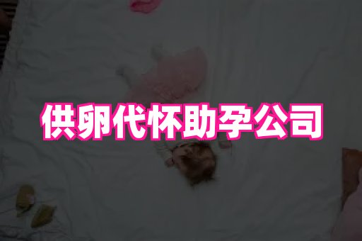 北京助孕网 3