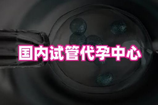 北京助孕网 4